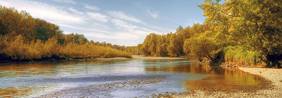 Ribiška družina Mura Paloma