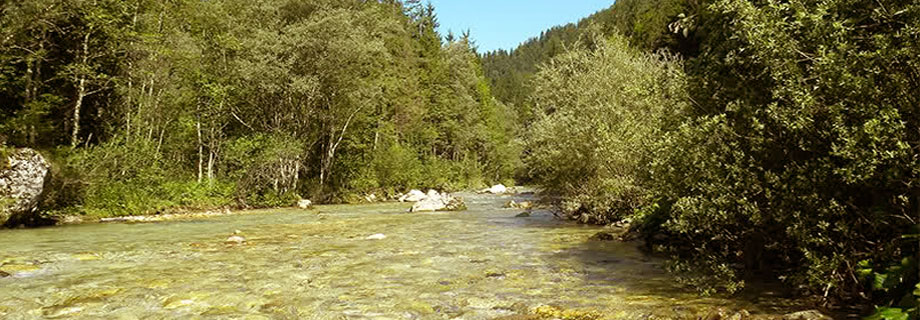 Ribiška družina Šempeter