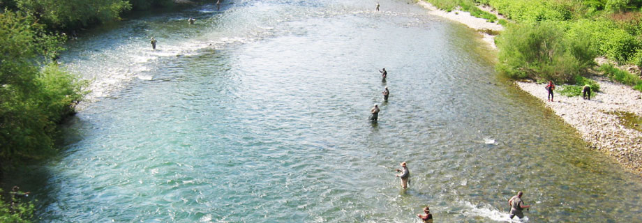 Ribiška družina Kranj