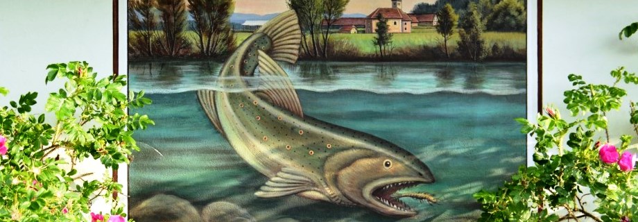 Ribiška družina Grosuplje