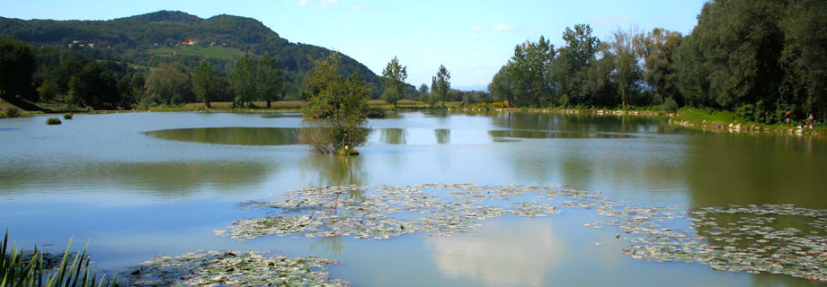 Ribiška družina Brežice