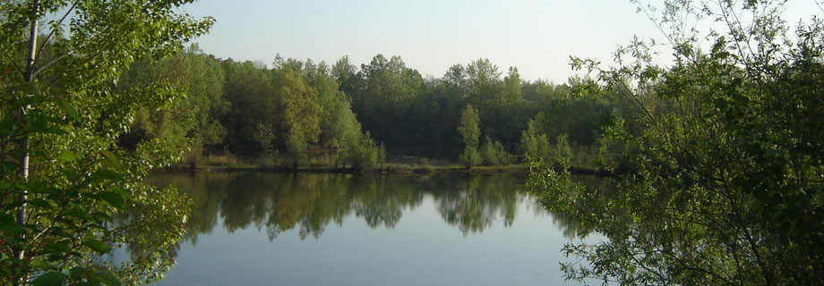 Gramoznica 503 Rogoz