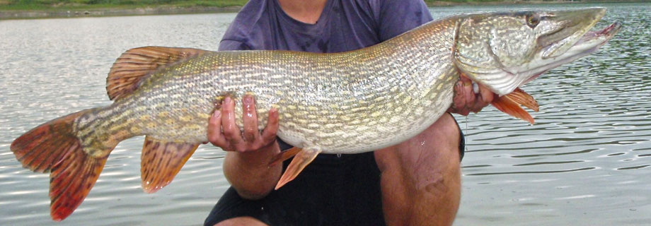 Vogršček 1- akumulacija